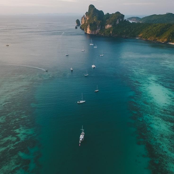 BlossomCliffWillow yacht fleet